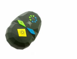 coMra Palm